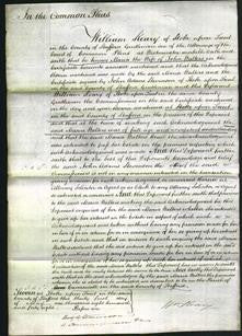 Court of Common Pleas - Maria Walters-Original Ancestry