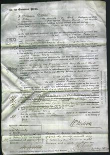 Court of Common Pleas - Sophia Frances Vorase Ayre-Original Ancestry