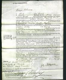 Court of Common Pleas - Elizabeth Hunt-Original Ancestry