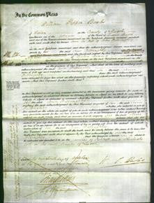 Court of Common Pleas - Ann Willoughby-Original Ancestry