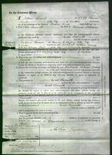 Court of Common Pleas - Harriett Sullivan-Original Ancestry