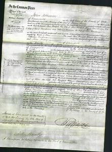 Court of Common Pleas - Ann Horsfall, Helena Saunderson and Catherine Wardman-Original Ancestry