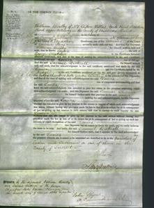 Court of Common Pleas - Louisa Thatcher-Original Ancestry