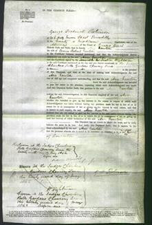 Court of Common Pleas - Ann Newton-Original Ancestry