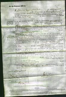 Court of Common Pleas - Mary Bookless-Original Ancestry