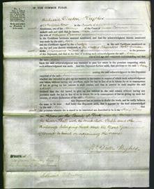 Court of Common Pleas - Ann Francis-Original Ancestry