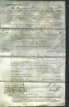 Court of Common Pleas - Mary Jane Lee-Original Ancestry