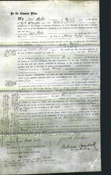 Court of Common Pleas - Hannah Hughes-Original Ancestry