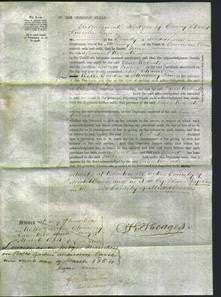 Court of Common Pleas - Jane Roberts-Original Ancestry