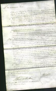 Court of Common Pleas - Ann Marriott-Original Ancestry