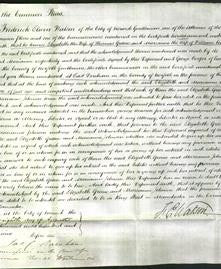 Court of Common Pleas - Elizabeth Greene and Marianne Johnson-Original Ancestry