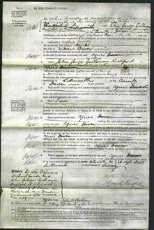 Court of Common Pleas - Agnes Dover-Original Ancestry