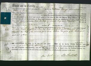 Deed by Married Women - Ann Ings and Elizabeth Sparkes-Original Ancestry