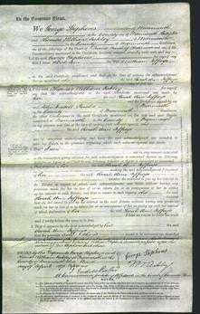 Court of Common Pleas - Sarah Ann Jeffreys-Original Ancestry