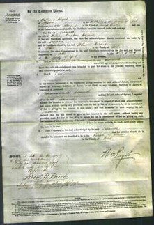 Court of Common Pleas - Susannah Hayman-Original Ancestry