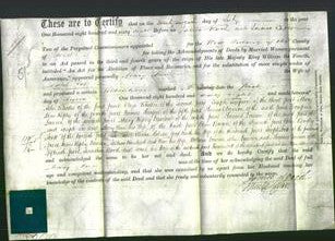 Deed by Married Women - Mary Jane Lee-Original Ancestry