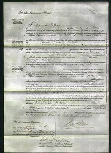 Court of Common Pleas - Elizabeth Wilson-Original Ancestry