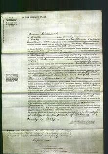 Court of Common Pleas - Isabella Townsend-Original Ancestry