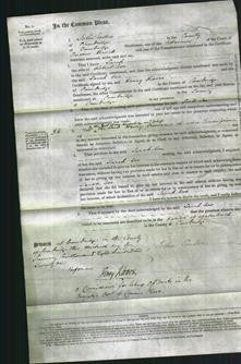 Court of Common Pleas - Sarah Coe-Original Ancestry