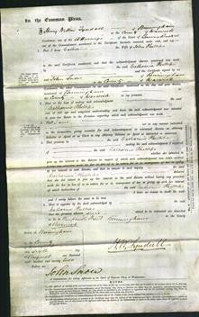 Court of Common Pleas - Catharine Phillips-Original Ancestry