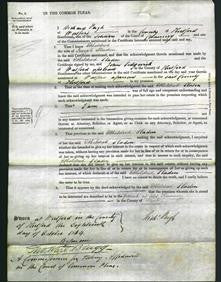 Court of Common Pleas - Etheldred Sladen-Original Ancestry