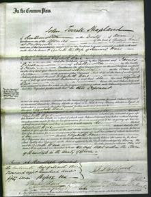 Court of Common Pleas - Elizabeth Wace-Original Ancestry