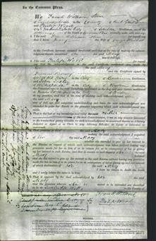 Court of Common Pleas - Mary Hallett-Original Ancestry