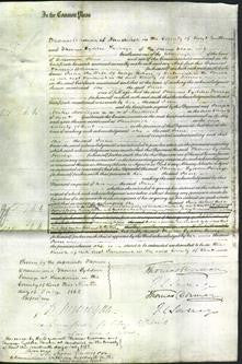 Court of Common Pleas - Jane Ledner-Original Ancestry