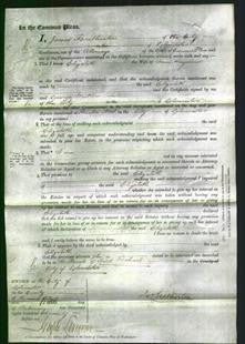 Court of Common Pleas - Elizabeth Hayward-Original Ancestry