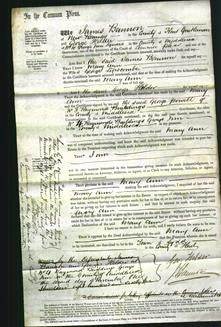 Court of Common Pleas - Mary Ann Lipscombe-Original Ancestry