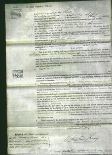 Court of Common Pleas - Mildred Butcher, Mary Alcorn, Martha Andrews, Margaret Payne and Maria Sherlock-Original Ancestry