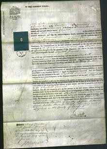 Court of Common Pleas - Elizabeth Jearrad-Original Ancestry