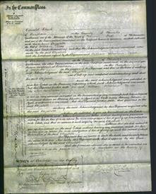 Court of Common Pleas - Elizabeth Gray-Original Ancestry