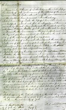 Court of Common Pleas - Mary Tweedie-Original Ancestry