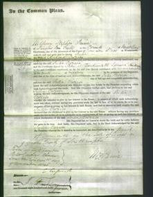 Court of Common Pleas - Julia Stone Crozier-Original Ancestry