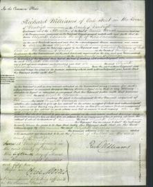 Court of Common Pleas - Elizabeth Edwards-Original Ancestry