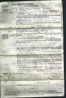 Court of Common Pleas - Kate Szapira-Original Ancestry