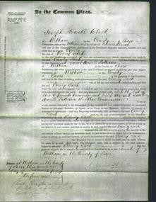 Court of Common Pleas - Emily Sach-Original Ancestry