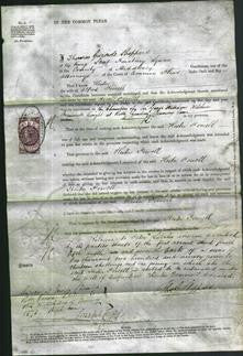 Court of Common Pleas - Hester Powell-Original Ancestry