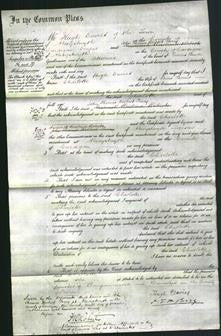 Court of Common Pleas - Charlotte Evans-Original Ancestry