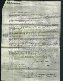 Court of Common Pleas - Susanna Frances Allanson Daniell-Original Ancestry