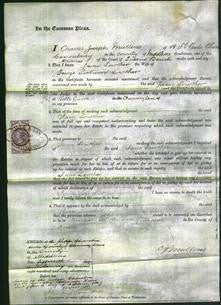Court of Common Pleas - Jane Lowther-Original Ancestry