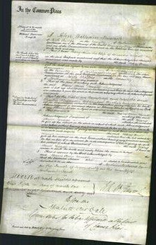 Court of Common Pleas - Mary Ann Meale-Original Ancestry