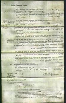 Court of Common Pleas - Rebecca Cooling-Original Ancestry