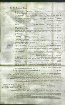 Court of Common Pleas - Sarah Bevan-Original Ancestry