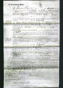Court of Common Pleas - Elizabeth Smith-Original Ancestry
