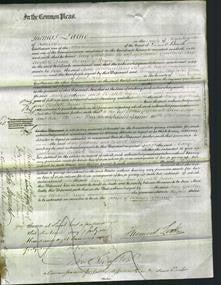 Court of Common Pleas - Mary Goodburn and Elizabeth Nixon-Original Ancestry