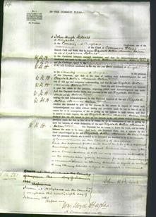 Court of Common Pleas - Elizabeth Hellin Helen Roberts-Original Ancestry