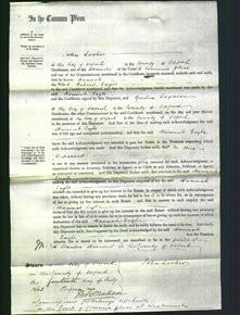 Court of Common Pleas - Hannah Eagle-Original Ancestry