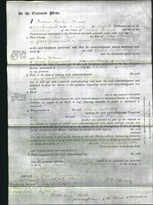 Court of Common Pleas - Selina Larter Bly-Original Ancestry